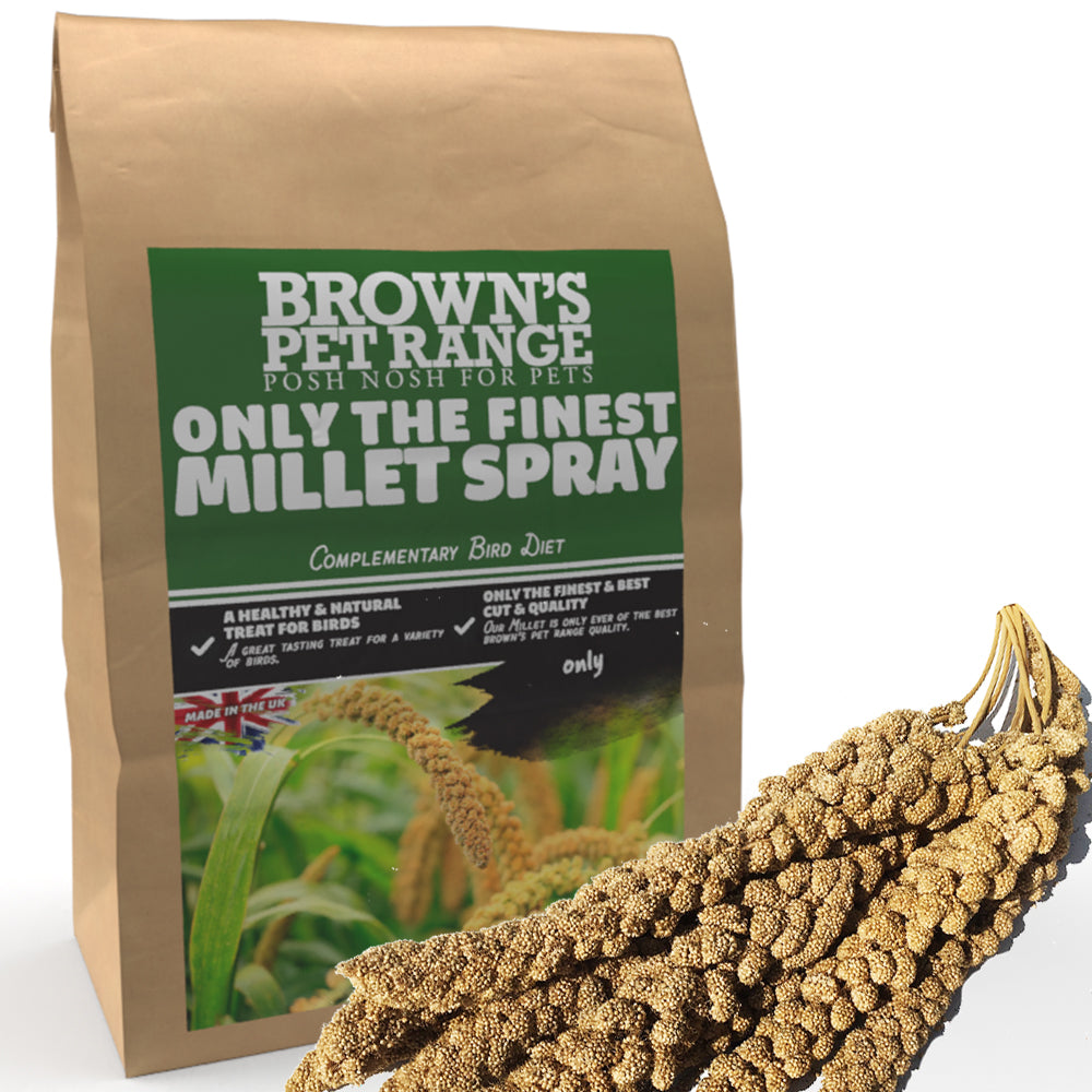 Brown s Bird Food Millet Spray