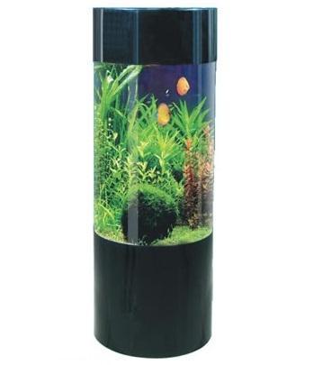 Column aquarium fish outlet tank