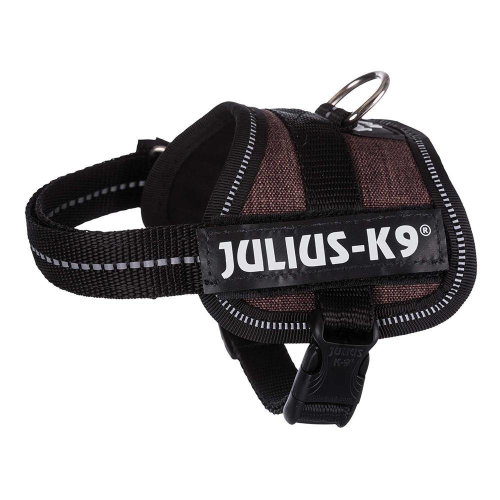 Julius k9 small best sale