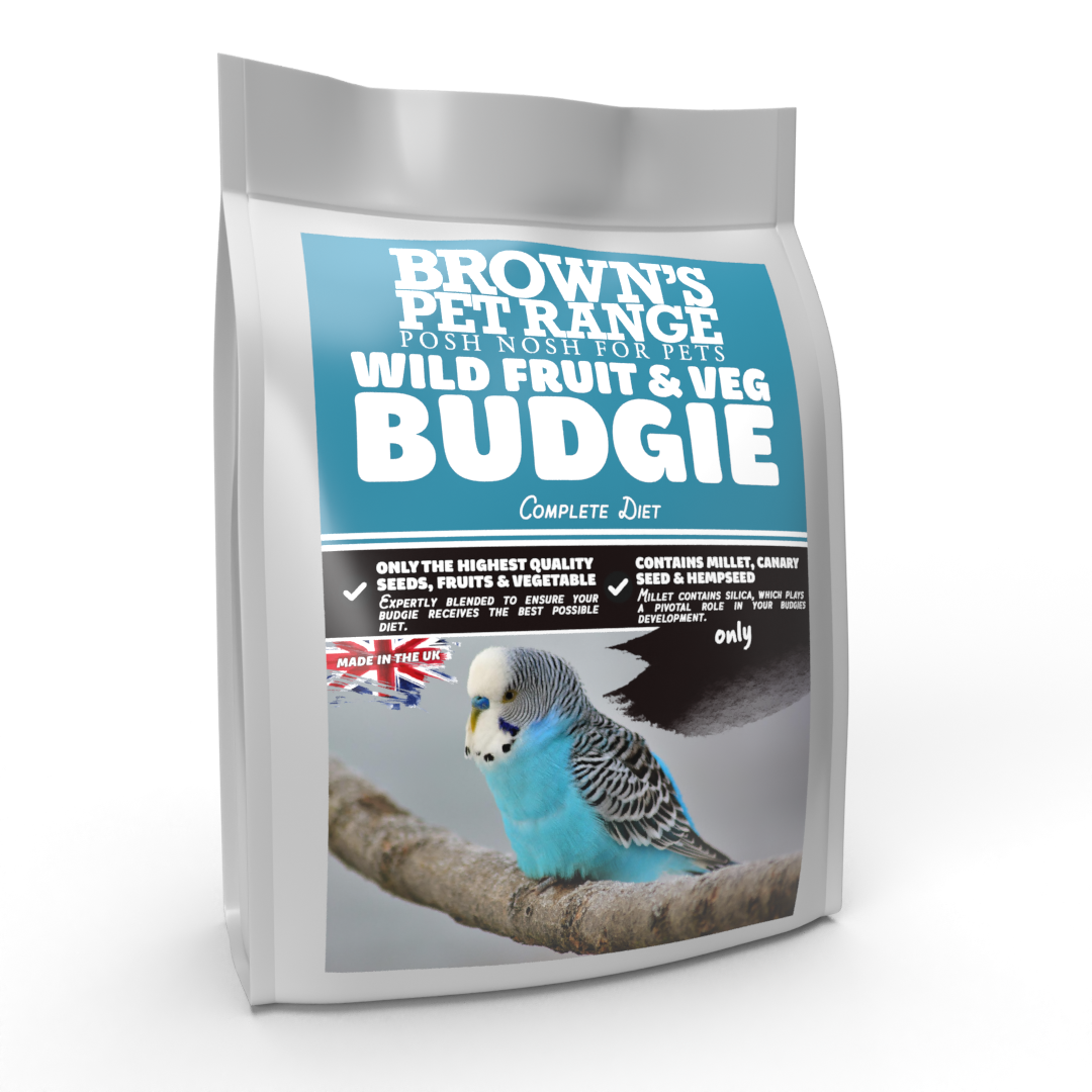 Fruits for budgies best sale