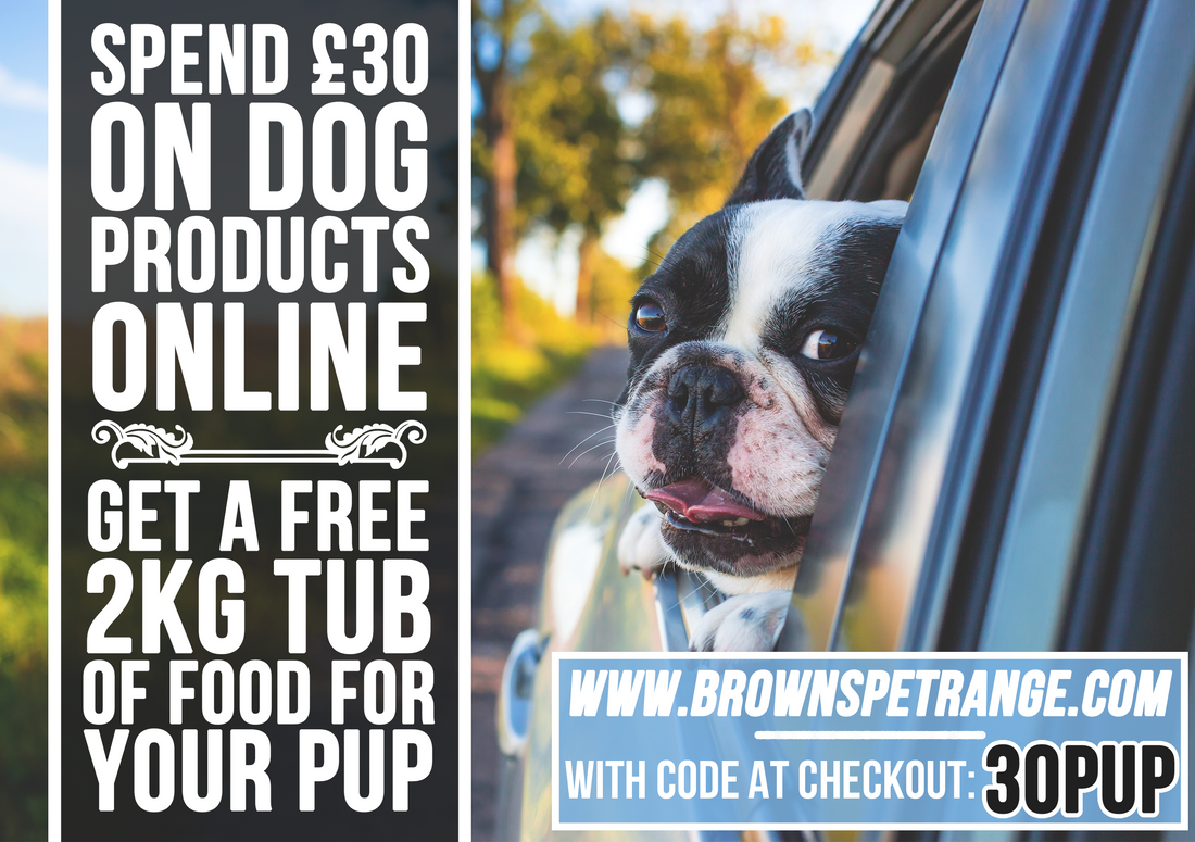 A Free 2kg Tub of Signature Dog Food