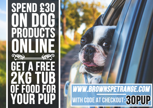 A Free 2kg Tub of Signature Dog Food