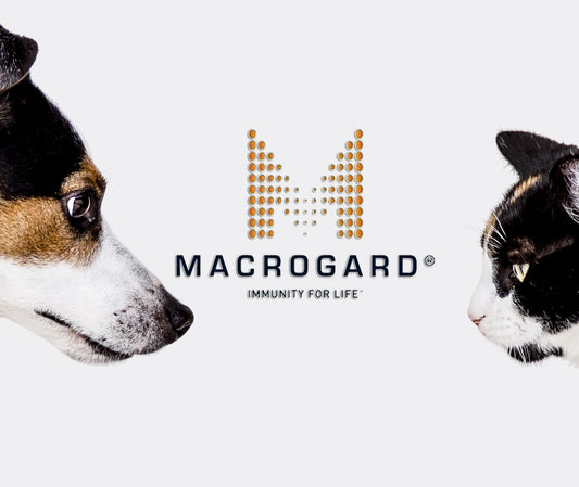 The Benefits of Macrogard In Your Dogs Diet