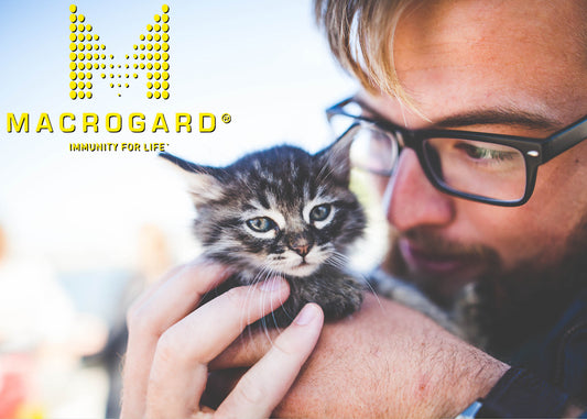 Our Cat Food, Purr-Fect Paws Is Even Better with MacroGard®!