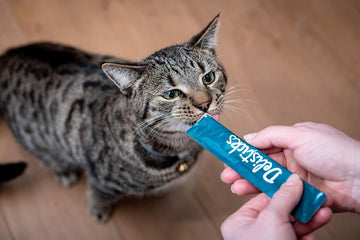 Beaphar Munching Sticks - Extruded Snack for Small Animals