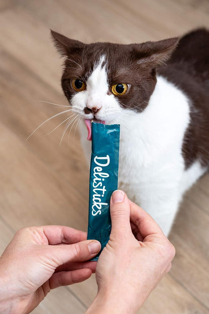 Delisticks Delicious Cat Mousse Treat - BROWNS PET RANGE