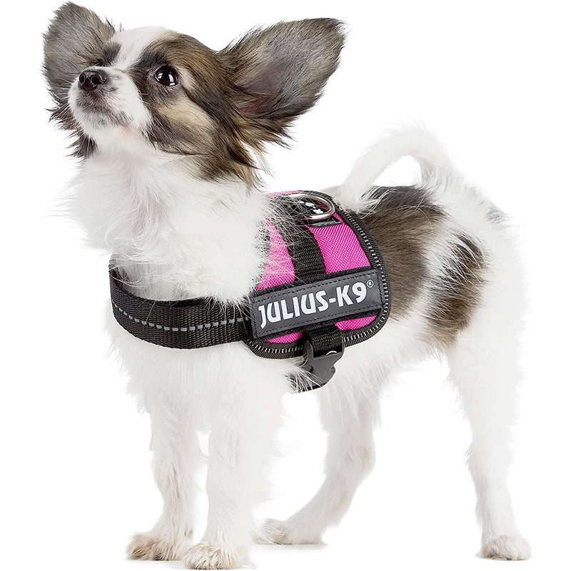 Julius K9 Powerharness Baby 1 XS 29 36cm 18mm Colour Variations BROWNS PET RANGE