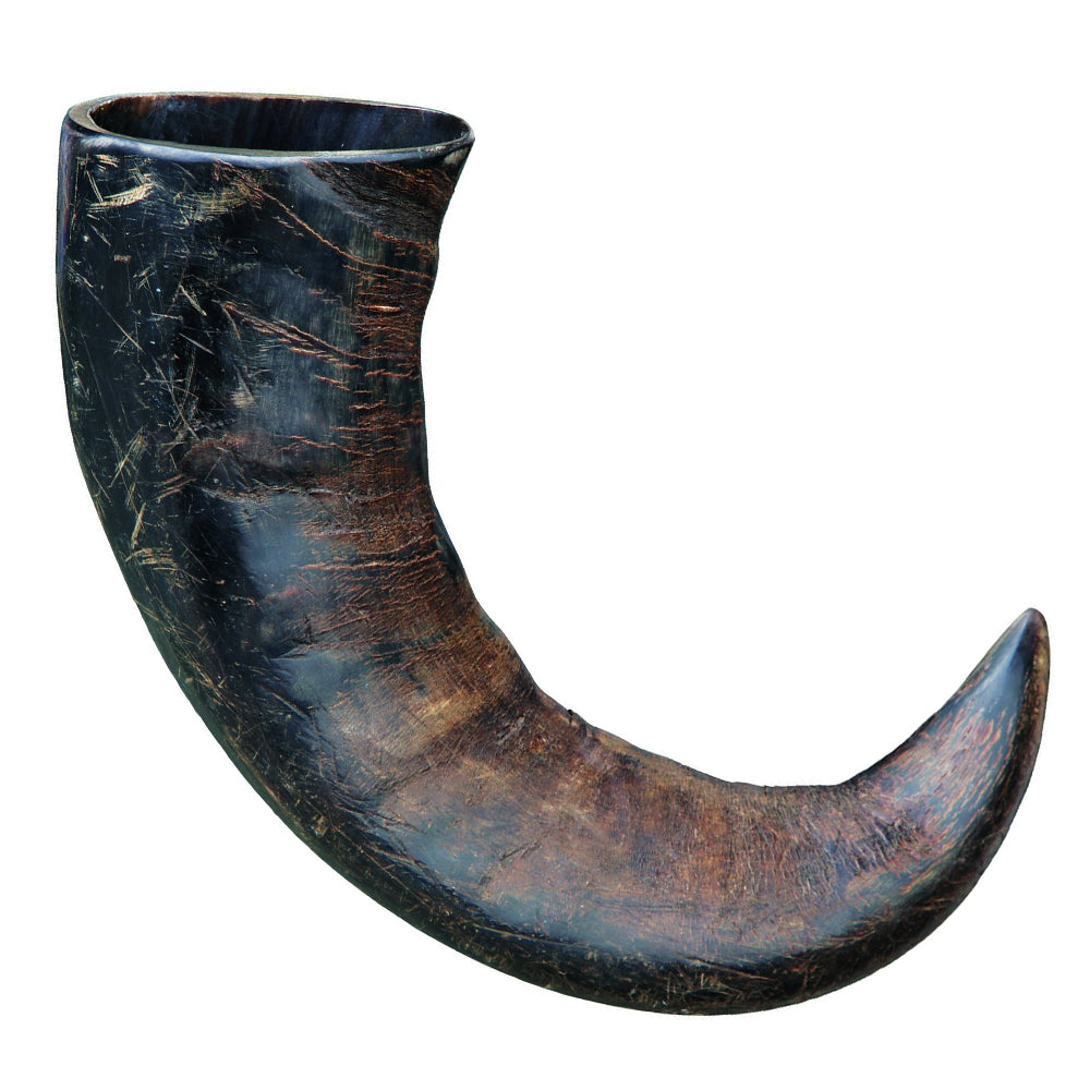 Brown's Natural Dog Chew | Large Buffalo Horns - BROWNS PET RANGE