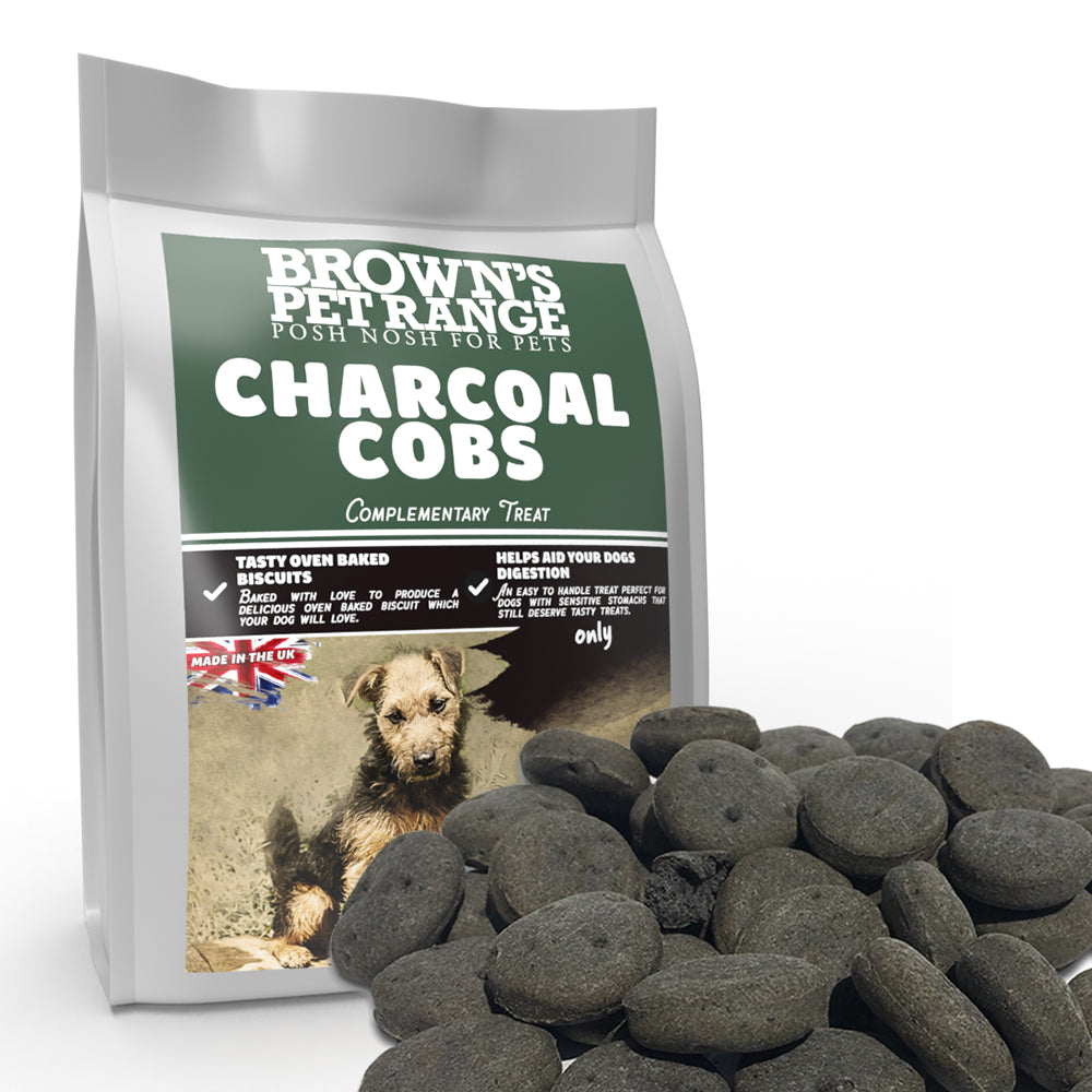 Charcoal dog outlet treats for gas