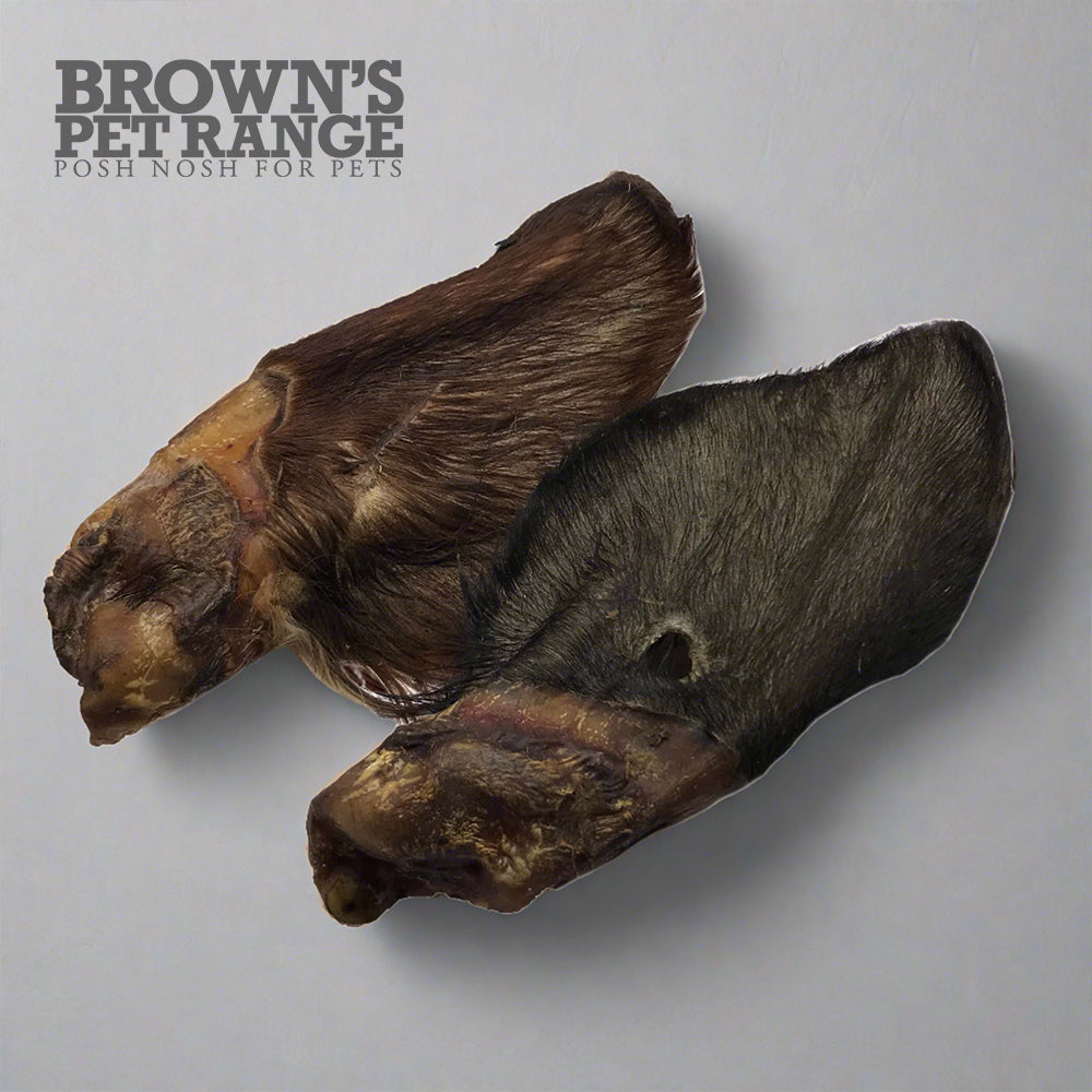 Brown's Natural Dog Treats | Cow Ears with Fur x 5 - BROWNS PET RANGE