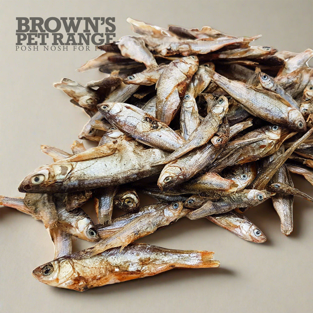 Brown's Natural Dog Treats | Dried Sprats 100g - BROWNS PET RANGE