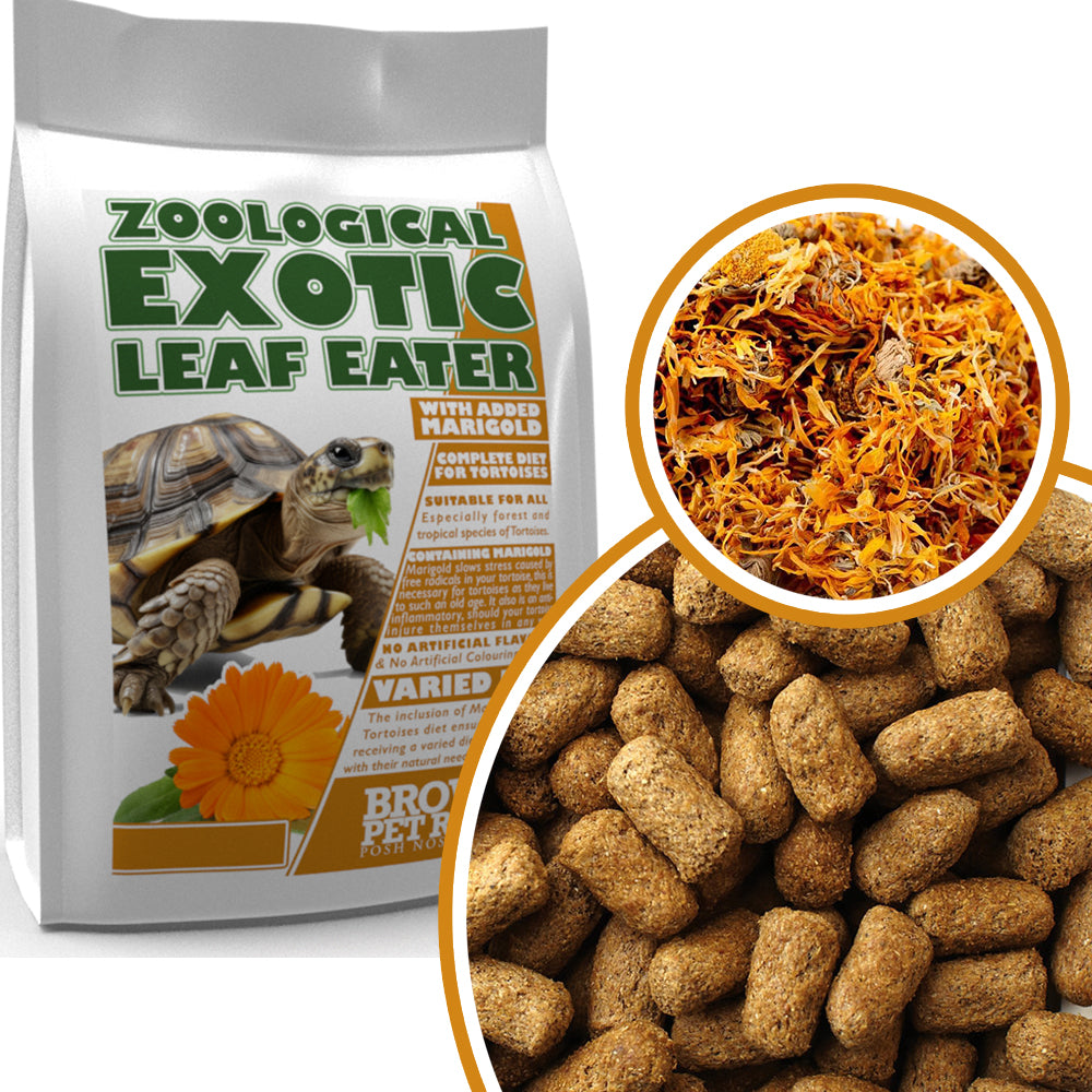 Exotic Leaf Eater | Original Formula for Tortoises With Marigold - BROWNS PET RANGE