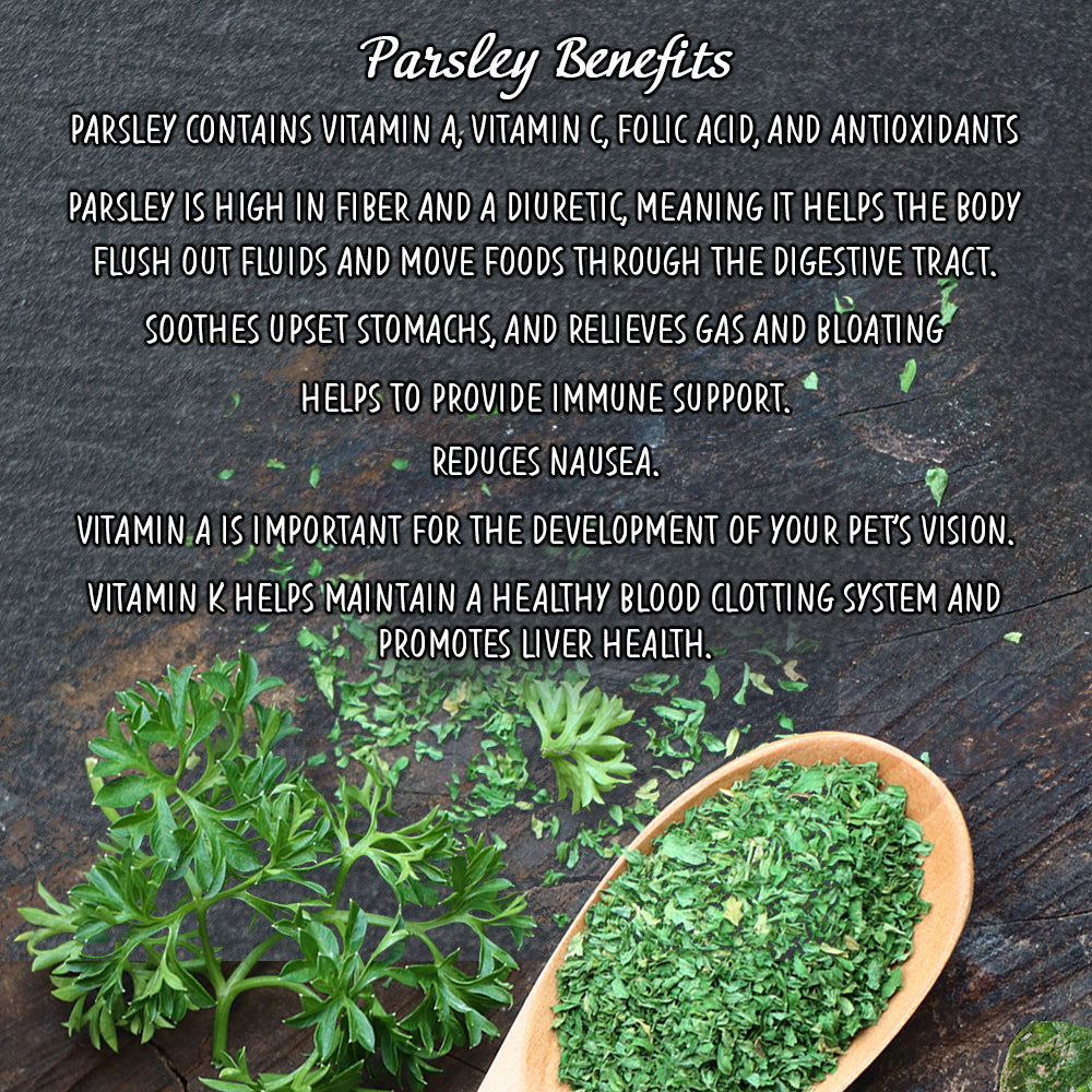 Dill & Parsley Seasoned Fish | Herbal K9 Posh Nosh For Dogs - BROWNS PET RANGE