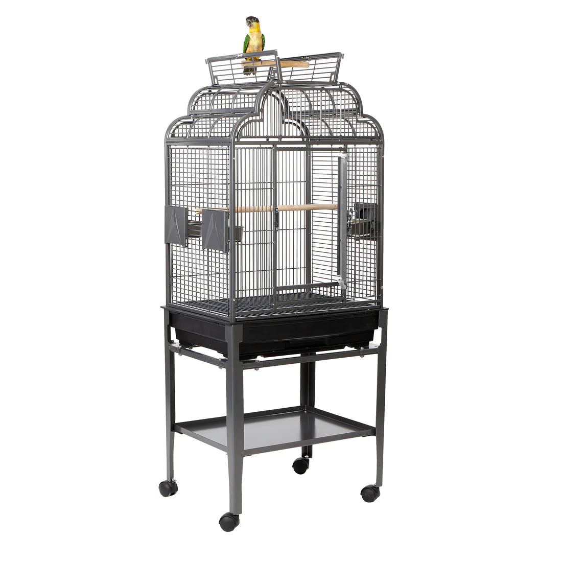 Peru Cage Antique - BROWNS PET RANGE