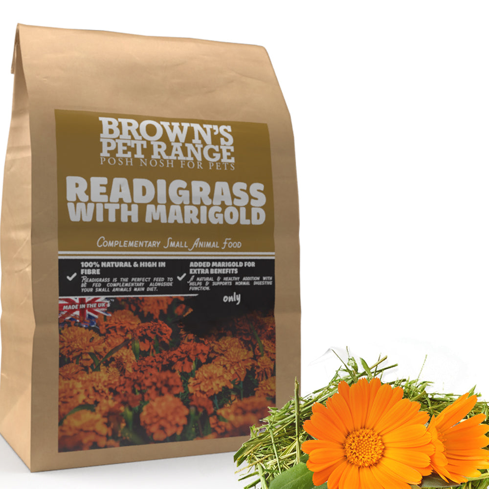 Posh Nosh for Small Animals | Herbal ReadiGrass - BROWNS PET RANGE