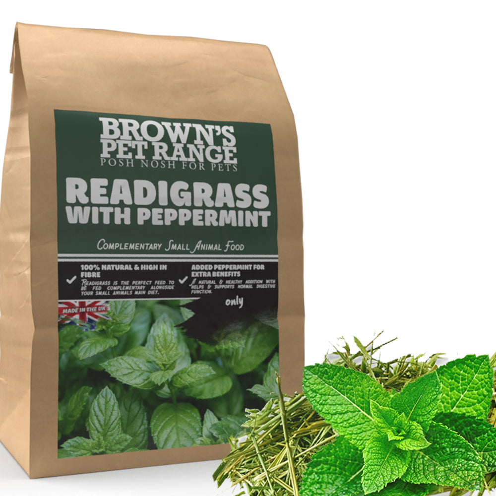 Posh Nosh for Small Animals | Herbal ReadiGrass - BROWNS PET RANGE