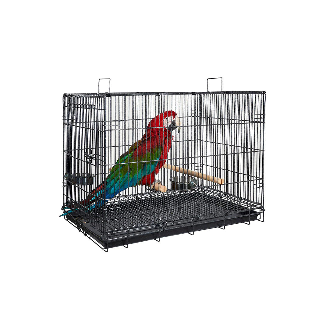 Liberta Transporter - BROWNS PET RANGE