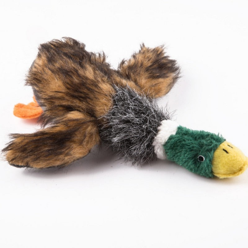 Micky Mallard  | Brown's Plush Dog Toy