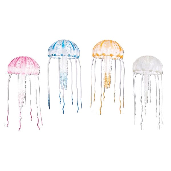 Exotic jellyfish for store sale