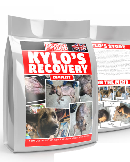 Kylo's Recovery | Skin Calming Diet | Herbal K9 Posh Nosh For Dogs