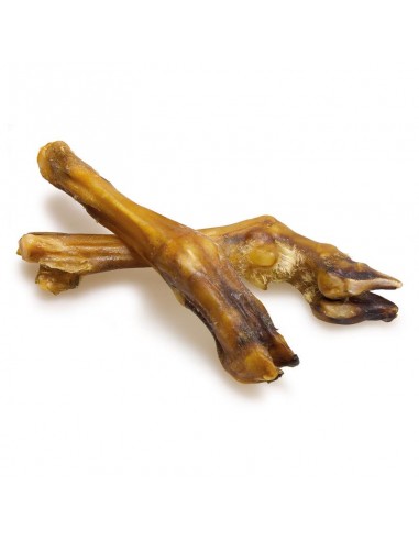 Lamb leg bone for dogs hotsell