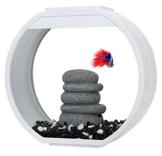 *Brand New* 10 Litre Deco-O | White - Fish Tank - Browns Pet Range