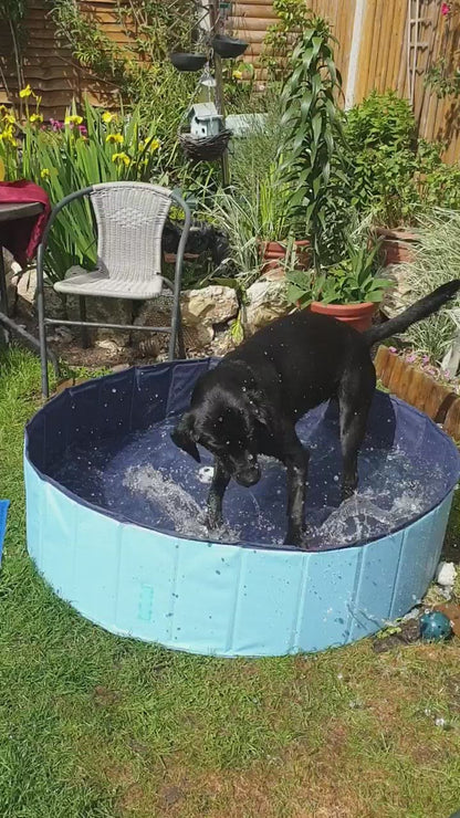 Swimming Pool For Dogs