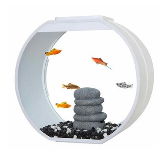 *Brand New* 20 Litre Deco-O | White - Fish Tank - Browns Pet Range