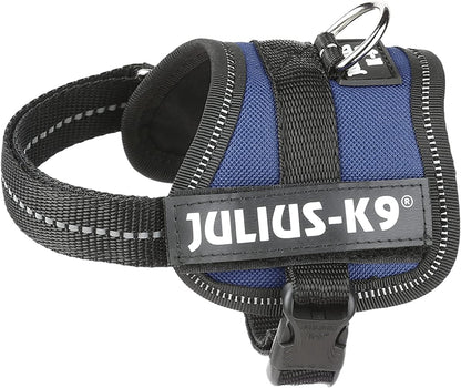 Julius-K9® Powerharness, Baby 1/XS: 29-36cm/18mm (Colour Variations) - BROWNS PET RANGE