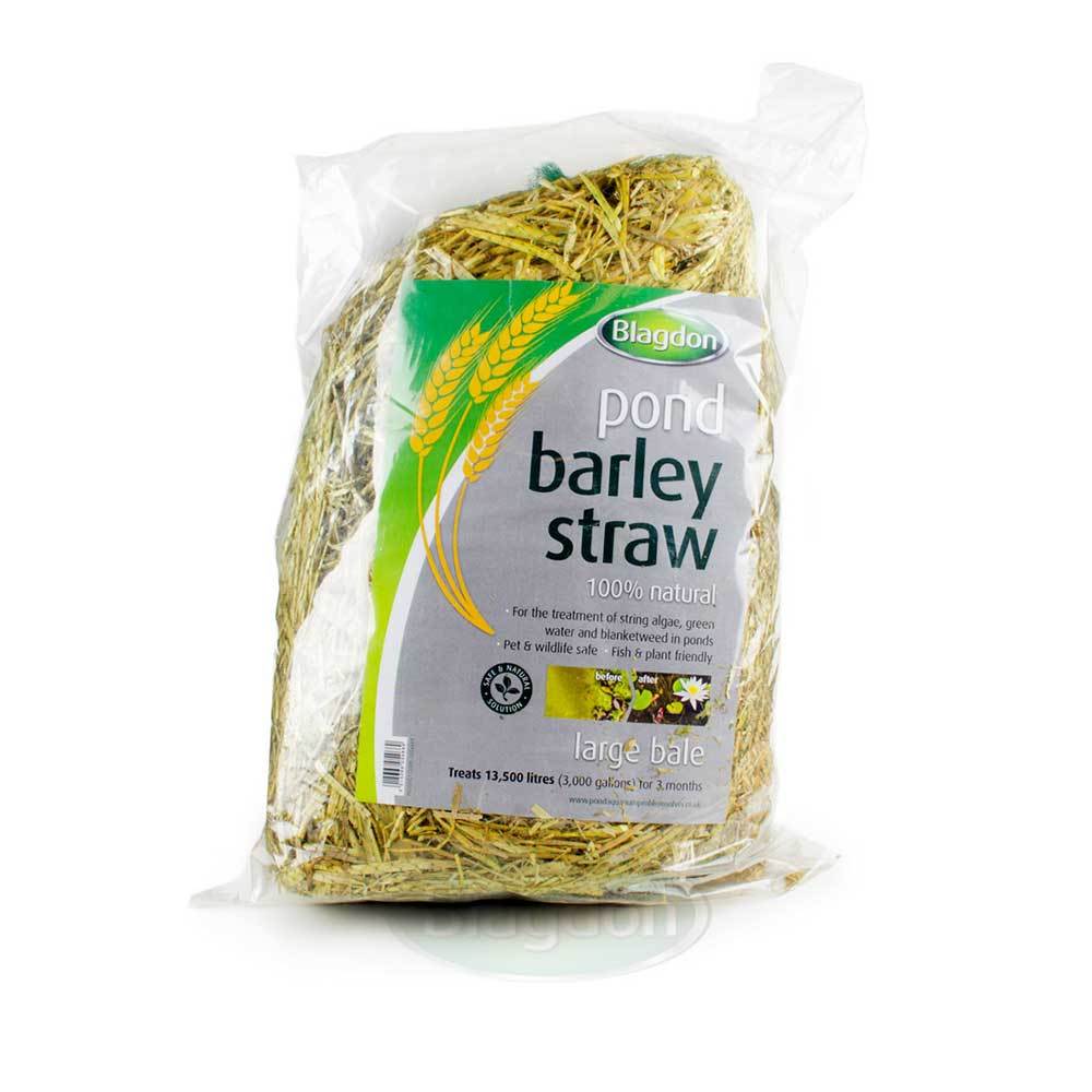 Blagdon Barley Straw Bale - Large - Pond - Browns Pet Range