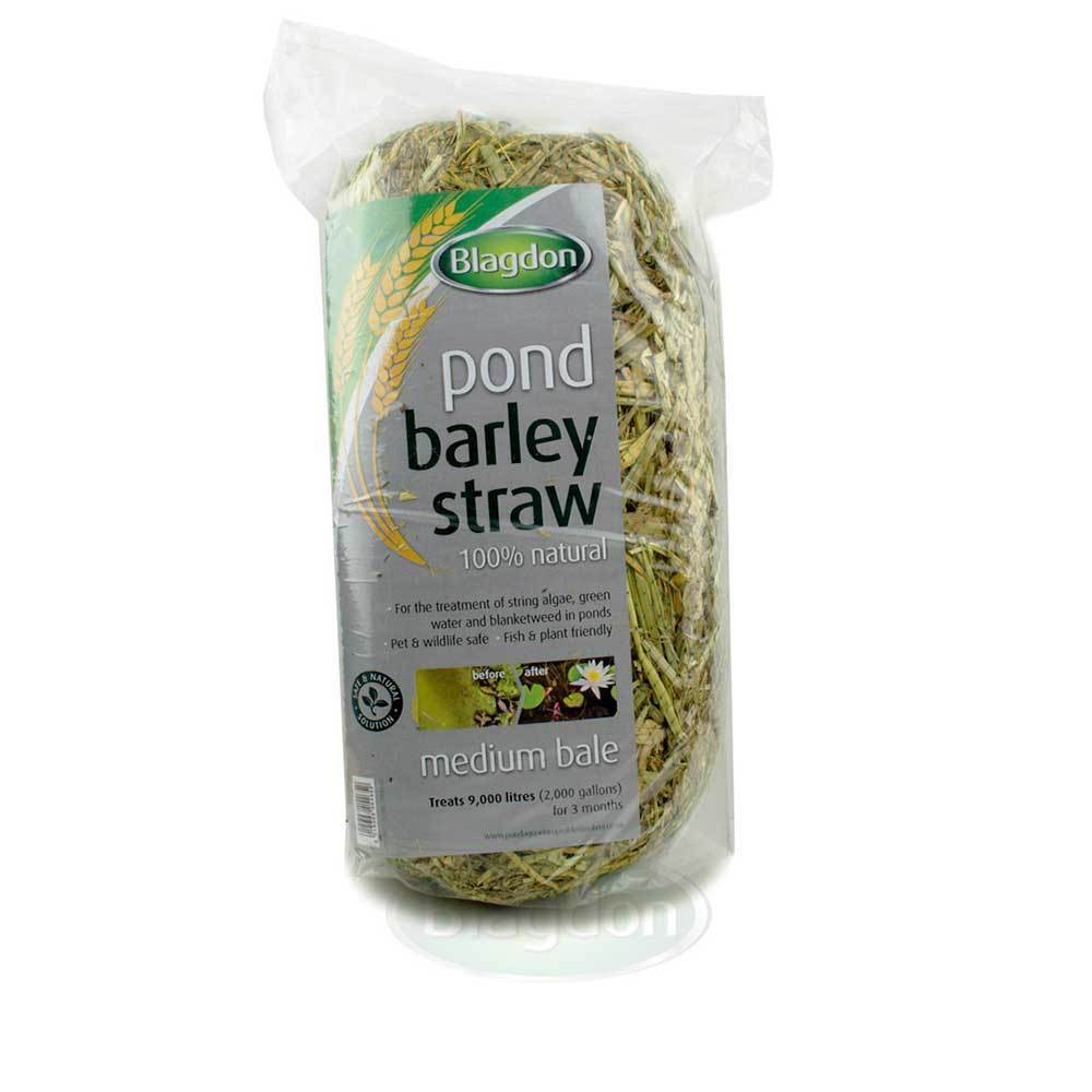 Blagdon Barley Straw Bale - Medium - Pond - Browns Pet Range