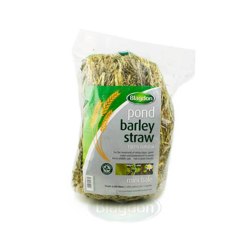 Blagdon Barley Straw Bale - Mini - Pond - Browns Pet Range