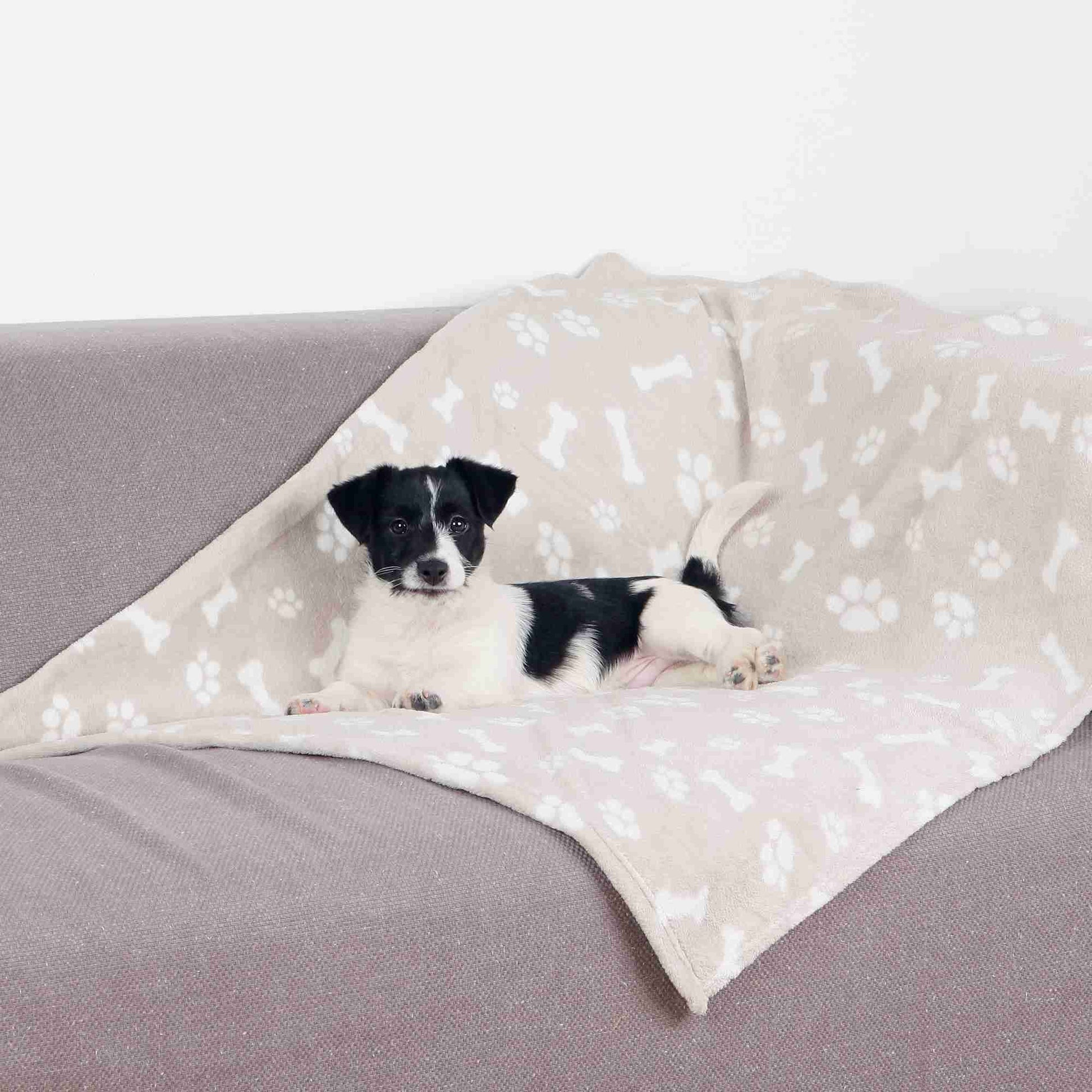 Brown's Blankies | Cosy Kenny Blanket 100x75cm Beige - BROWNS PET RANGE