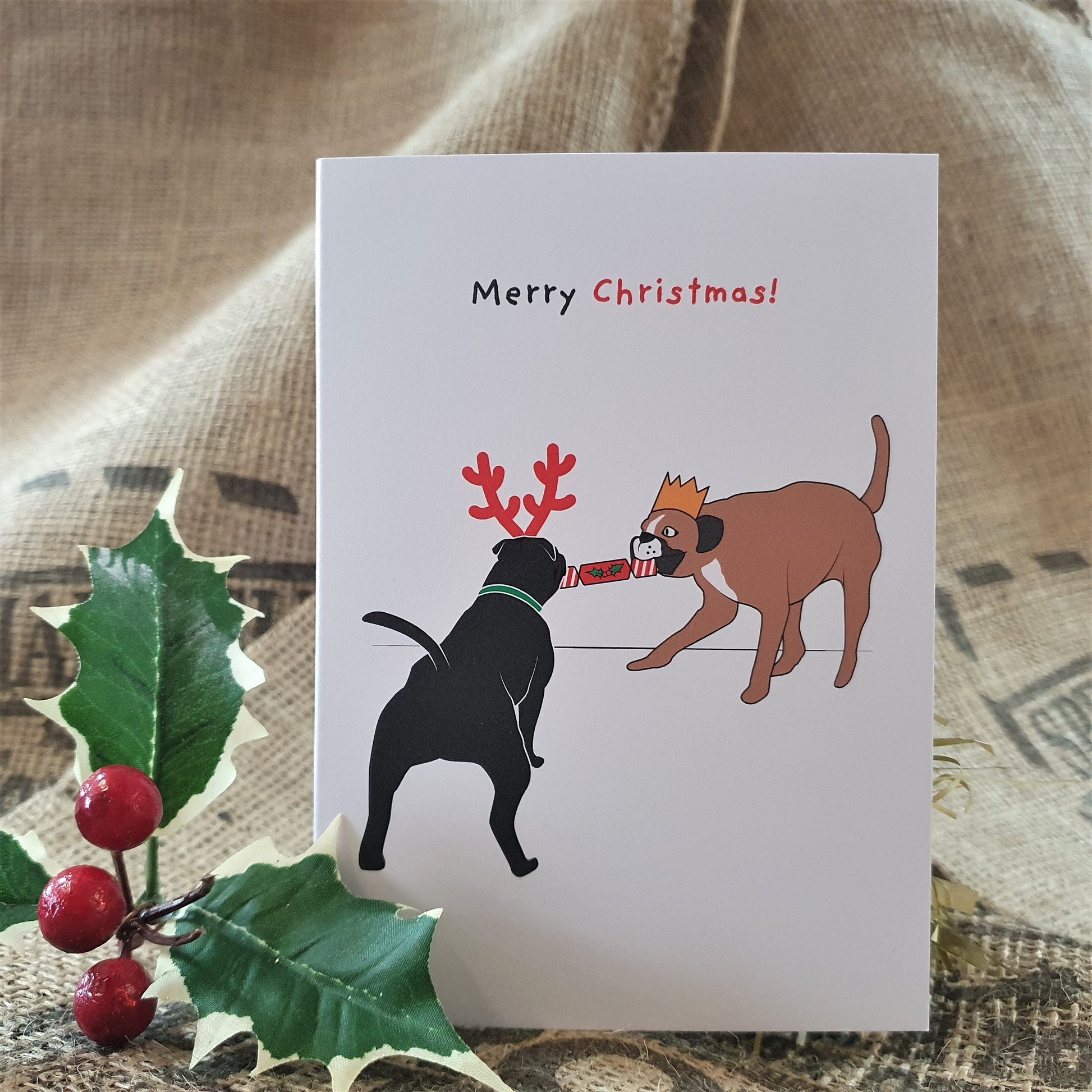 Brown's Christmas Festive Greeting Cards | Tug of War - BROWNS PET RANGE