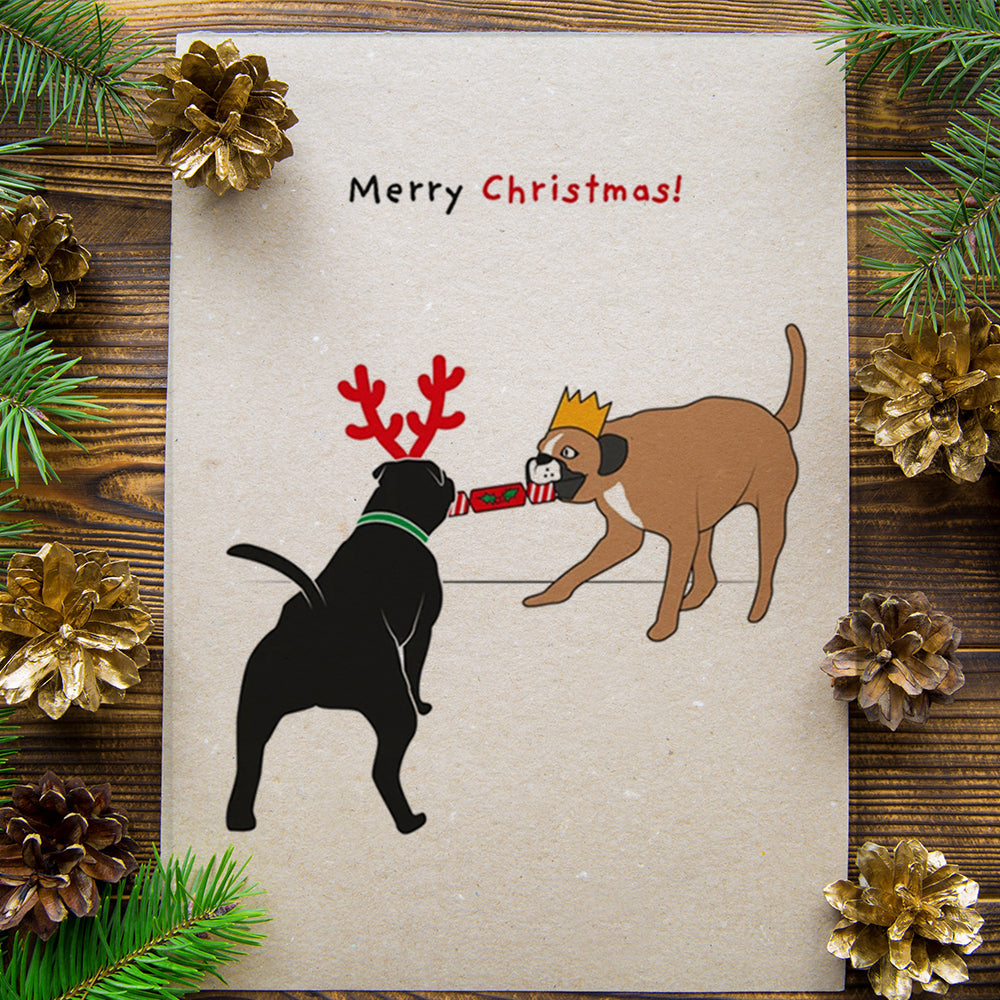 Brown's Christmas Festive Greeting Cards | Tug of War - BROWNS PET RANGE