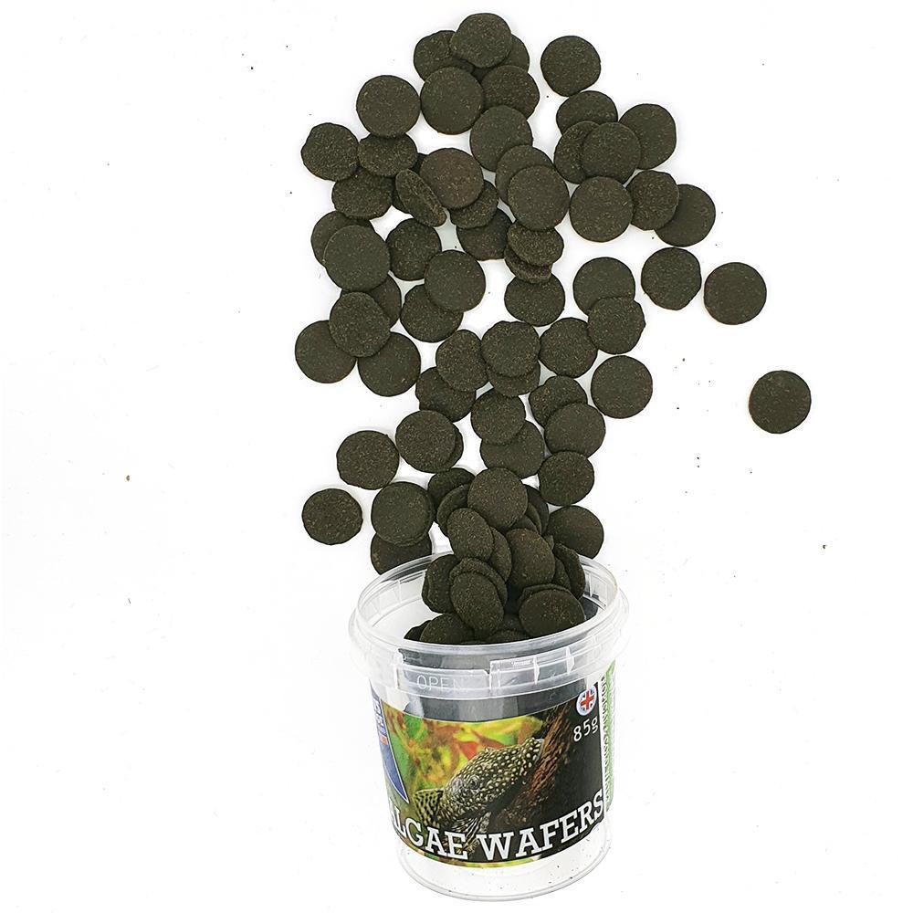 Algae Wafers 85g - Fish Food - Browns Pet Range