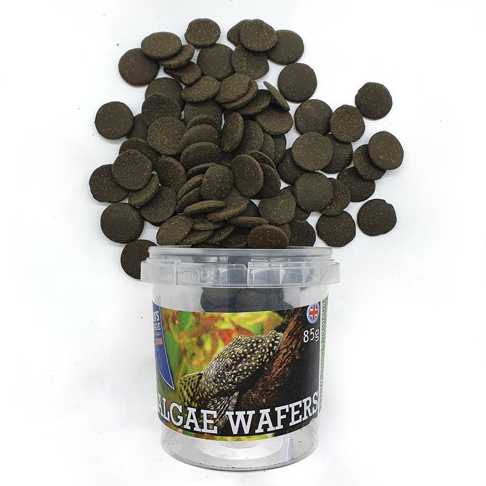 Algae Wafers 85g - Fish Food - Browns Pet Range