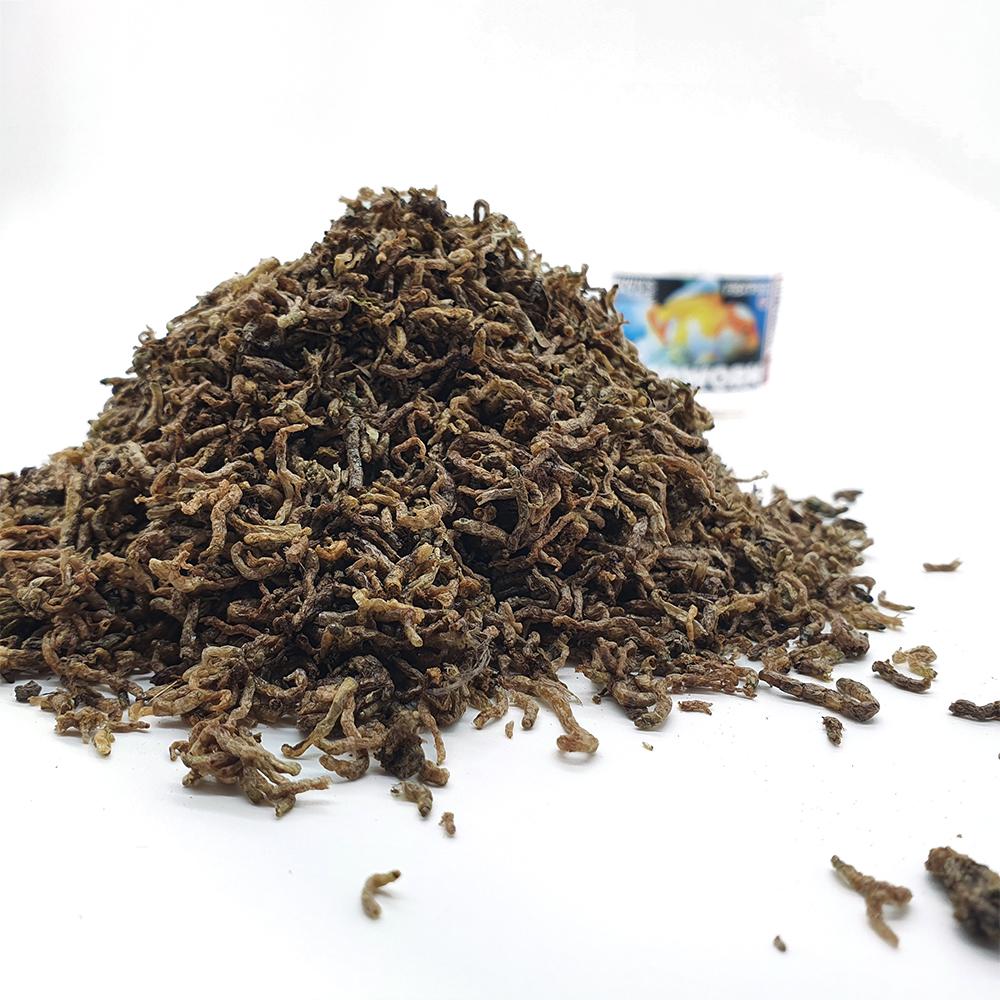 Brown's Fish Food | Dried Bloodworm - BROWNS PET RANGE