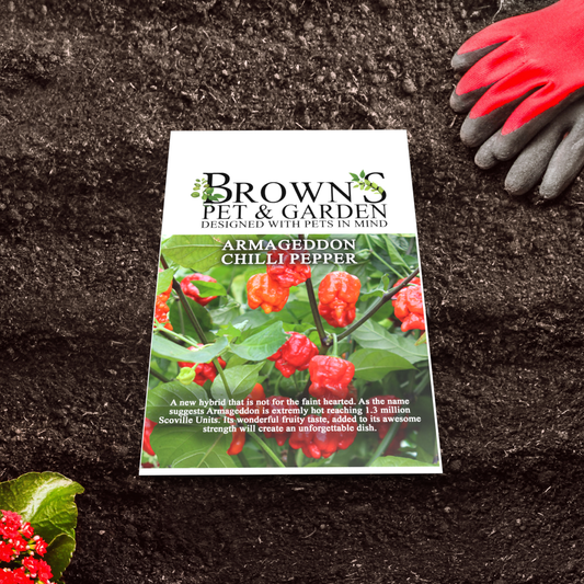 Brown's GYO Armageddon Chilli's - BROWNS PET RANGE