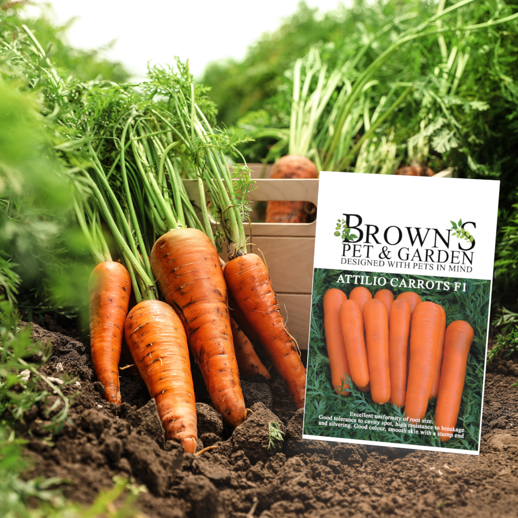 Brown's GYO Attilio Carrots - BROWNS PET RANGE