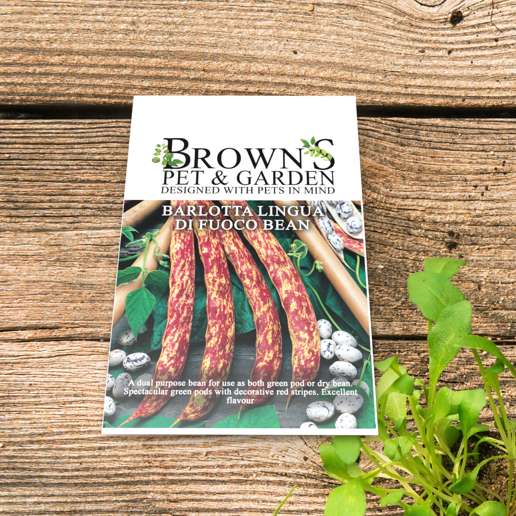 Brown's GYO Barlotto Lingua Di Fuoco Beans - BROWNS PET RANGE