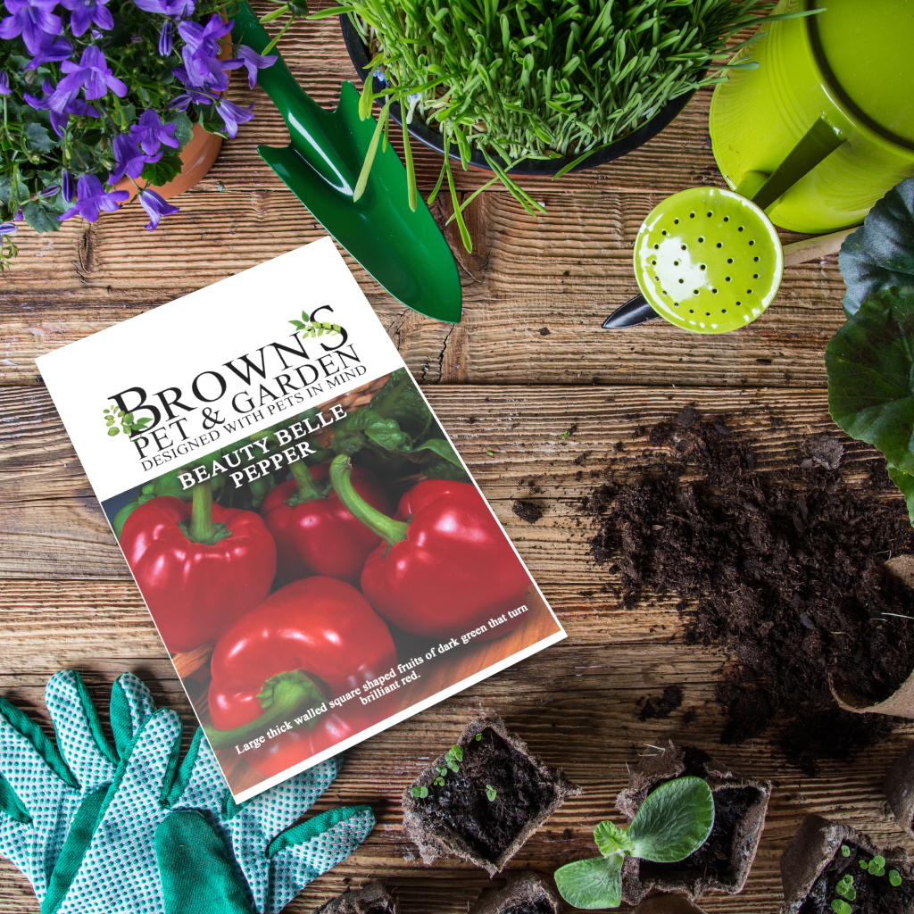 Brown's GYO Beauty Belle Pepper - BROWNS PET RANGE