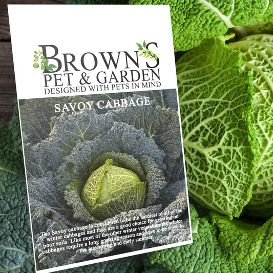 Brown's GYO Cordesa Savoy Cabbage - BROWNS PET RANGE