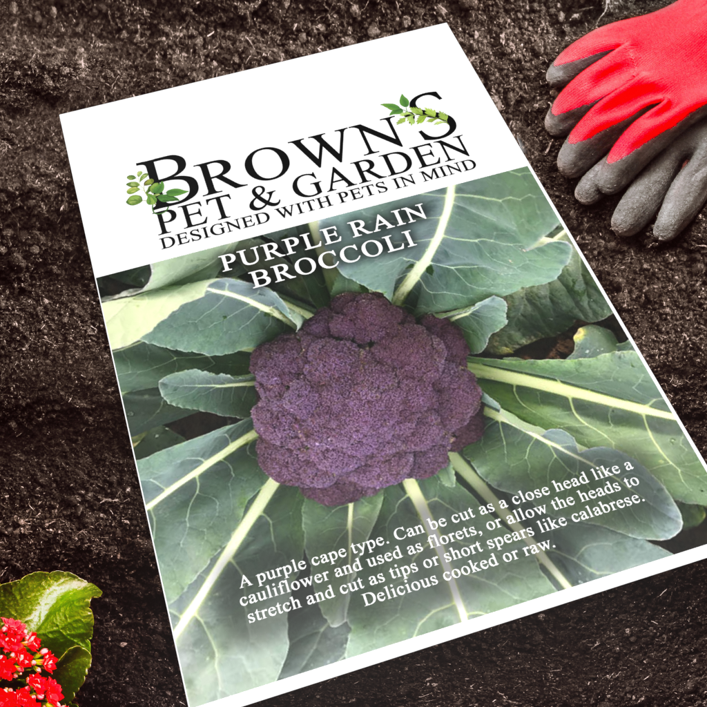 Brown's GYO Purple Rain Broccoli - BROWNS PET RANGE