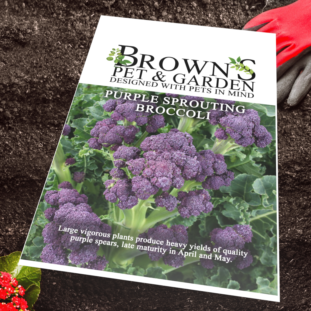 Brown's GYO Purple Sprouting Broccoli - BROWNS PET RANGE