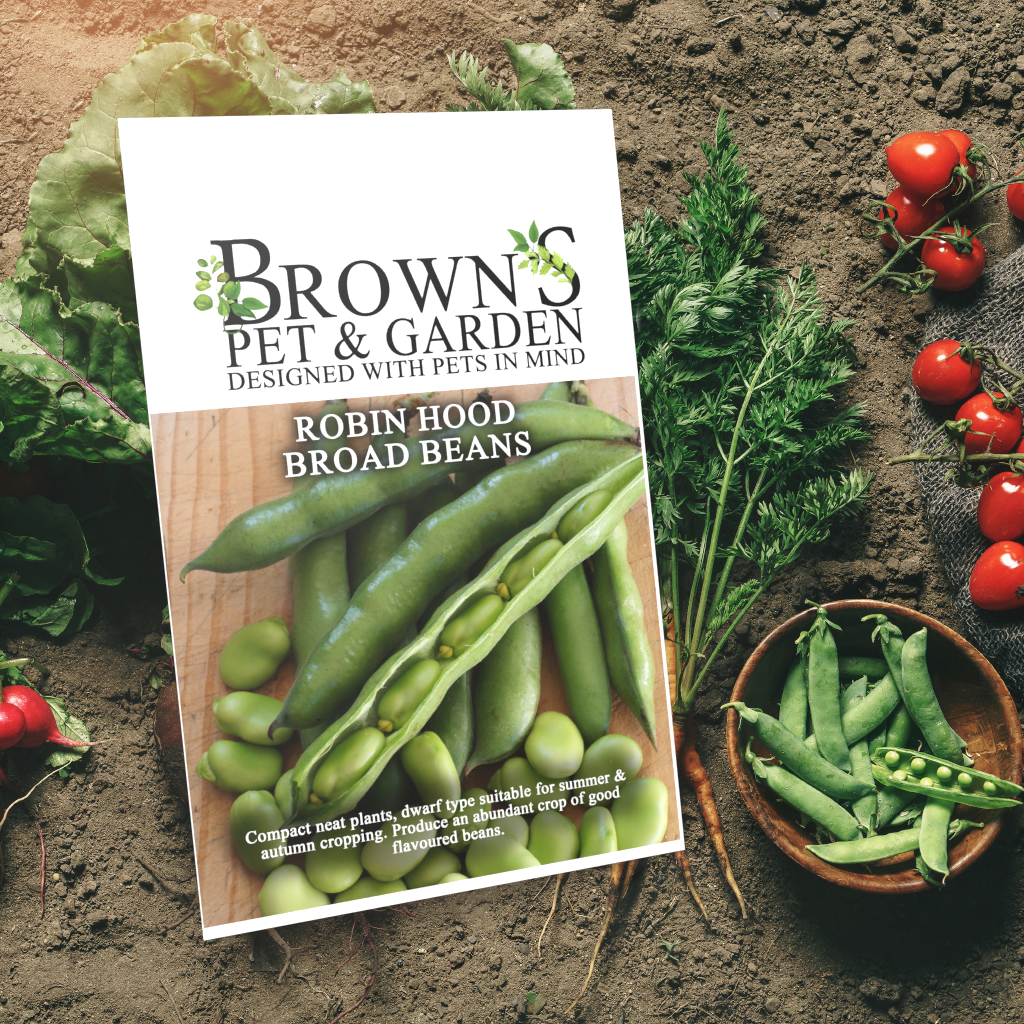 Brown's GYO Robin Hood Broad Beans - BROWNS PET RANGE