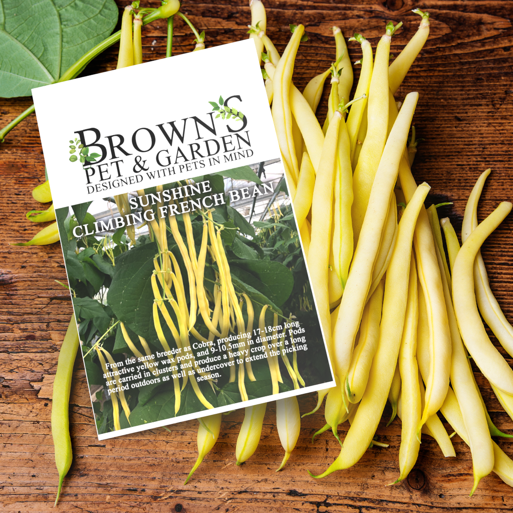 Brown's GYO Sunshine French Bean - BROWNS PET RANGE