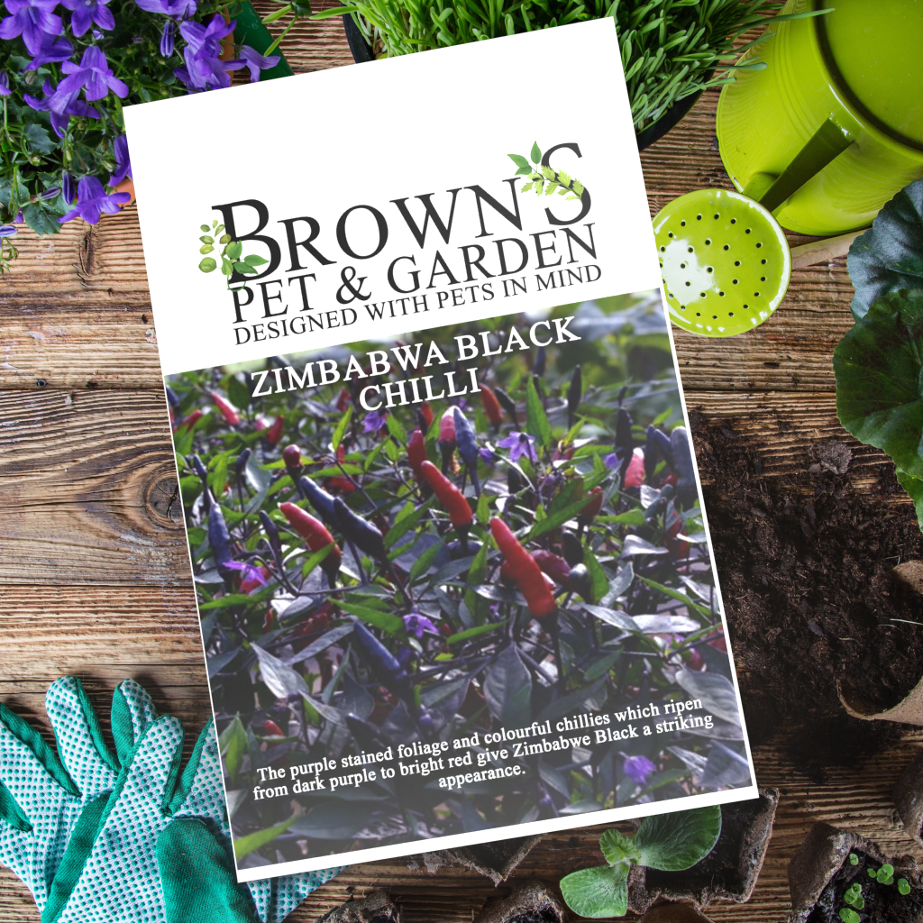 Brown's GYO Zimbabwe Black Chilli's - BROWNS PET RANGE