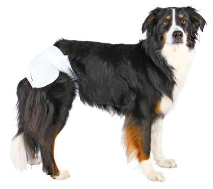 Browns Hygiene Products | Diapers for Female Dogs - BROWNS PET RANGE