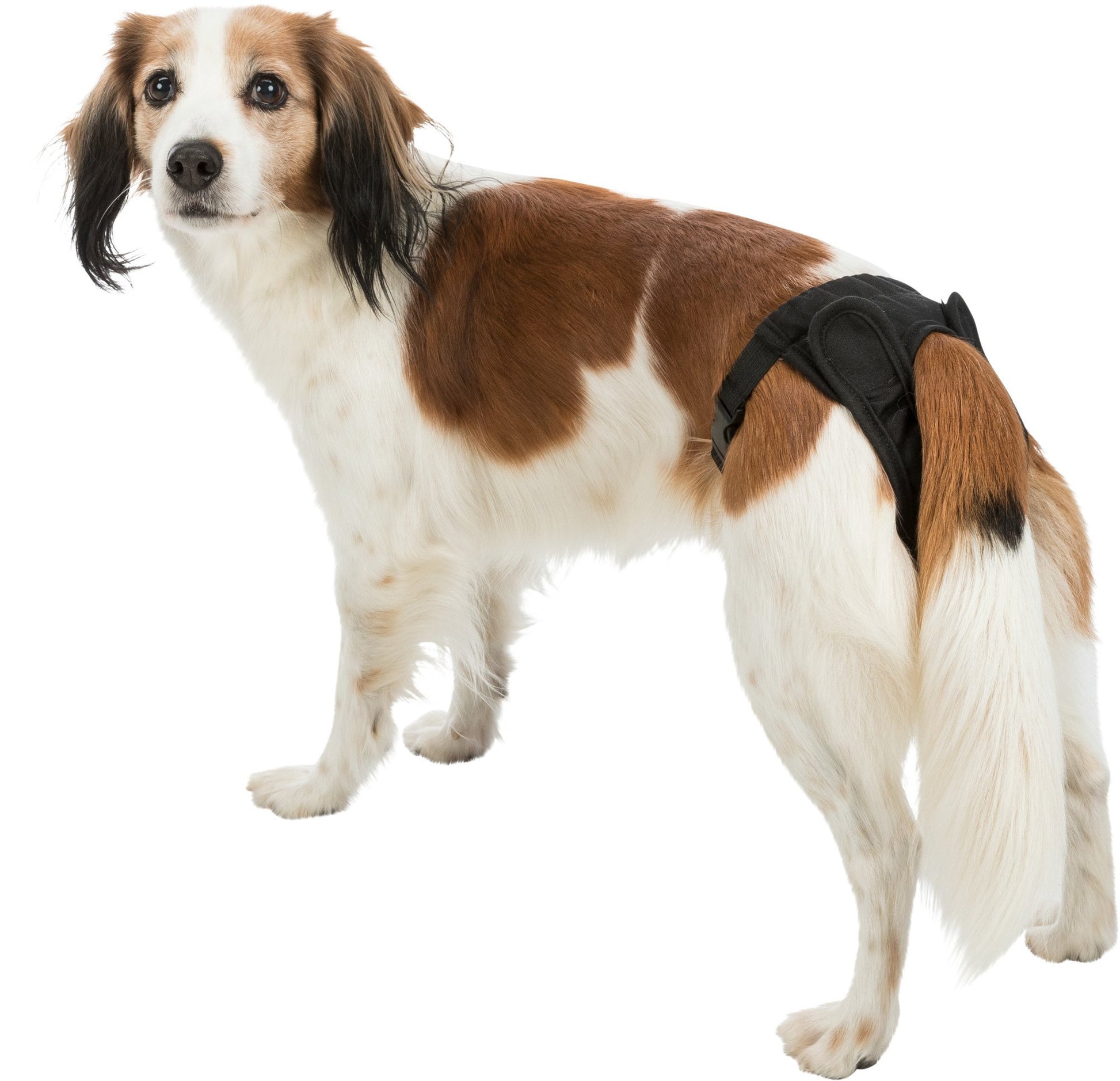 Browns Hygiene Products | Protective Pants - BROWNS PET RANGE